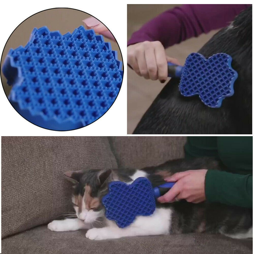 1098338534982.jpg