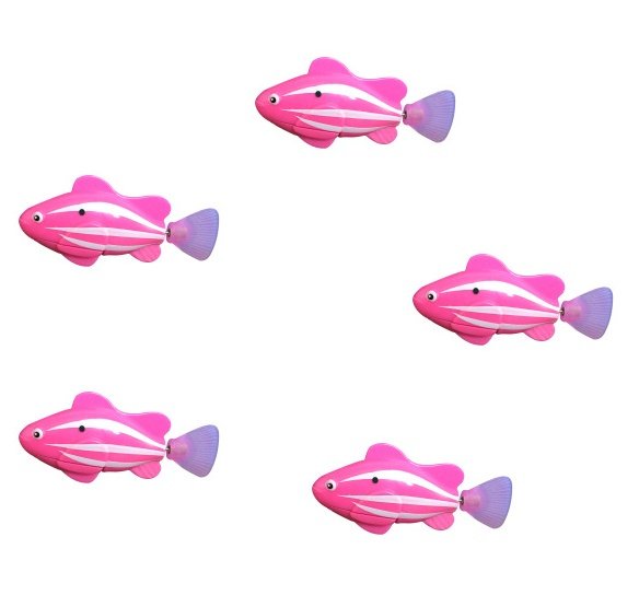 1622087508831.jpg