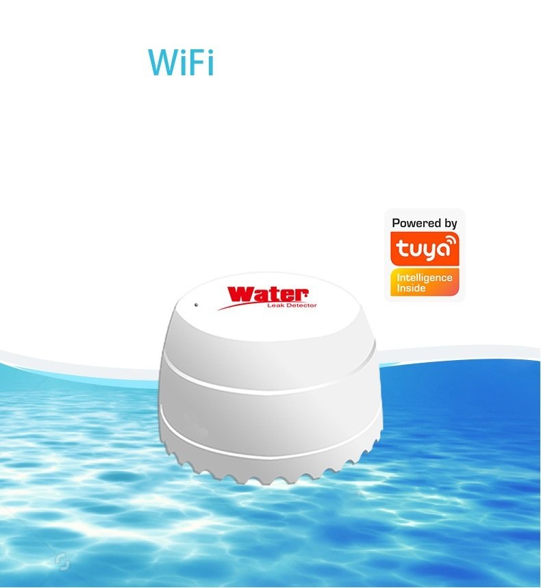 a6e6410a-cfb2-4cb8-88c8-e7269dc0436d.jpg